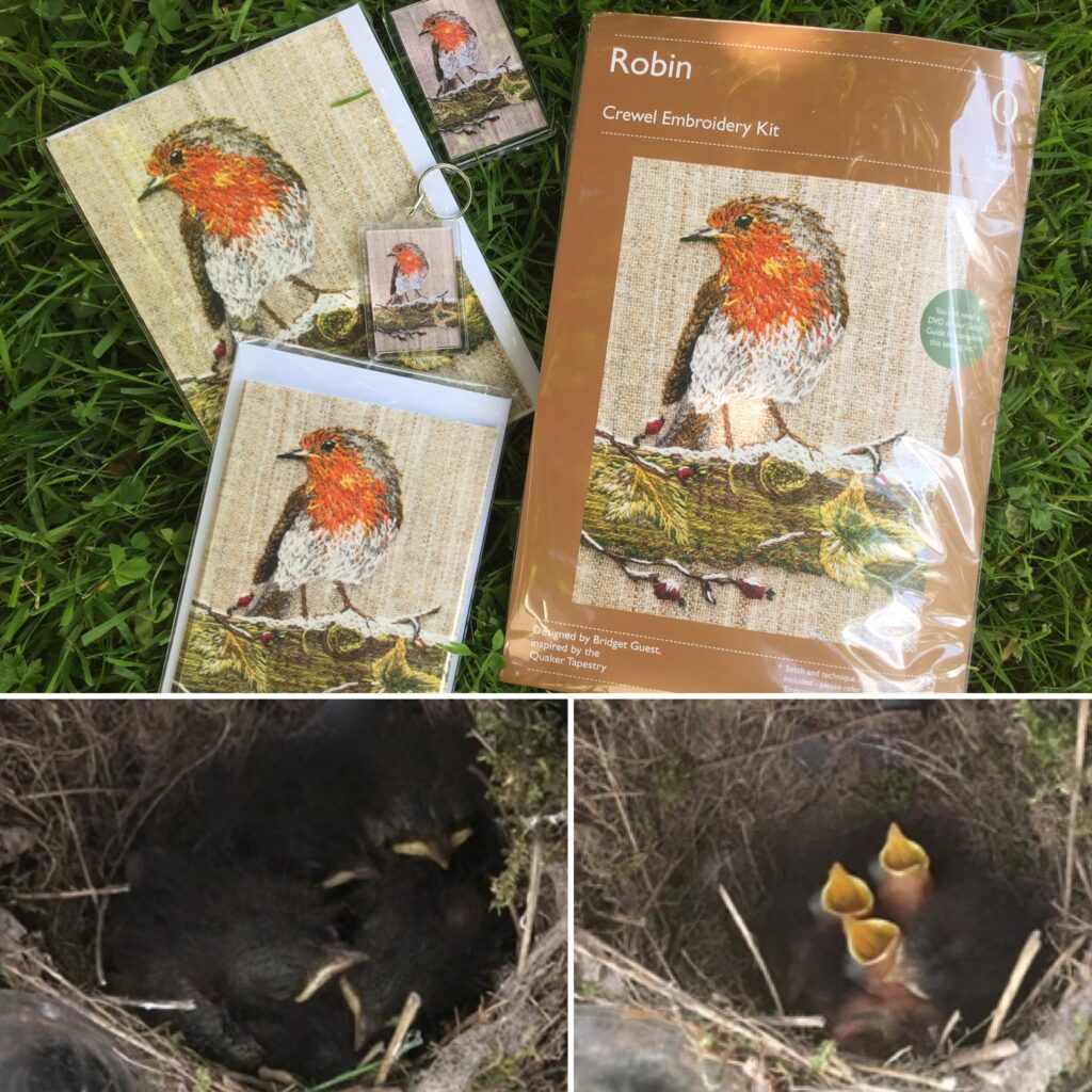 Robins at QT Museum